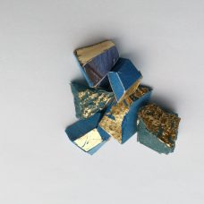 Saskia Bostelmann (6)